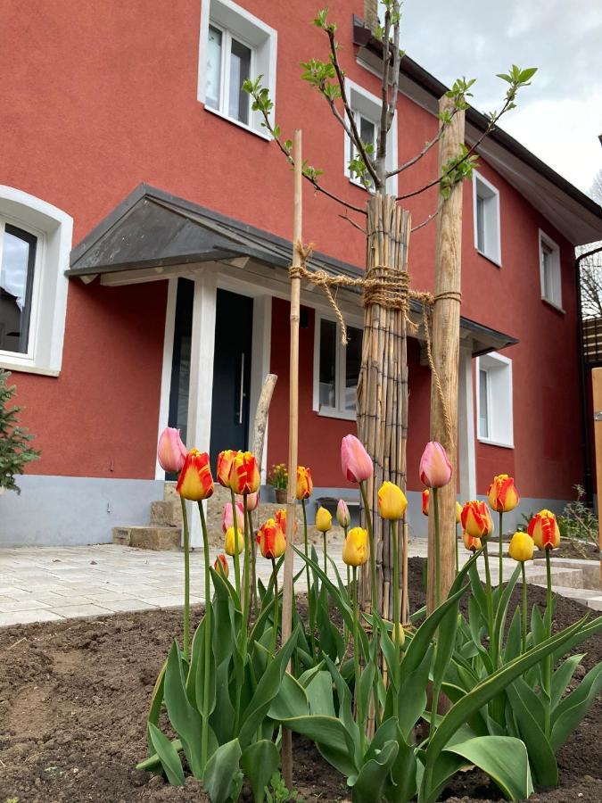 Ferienwohnung Rotes Haus ชไนท์อัค ภายนอก รูปภาพ